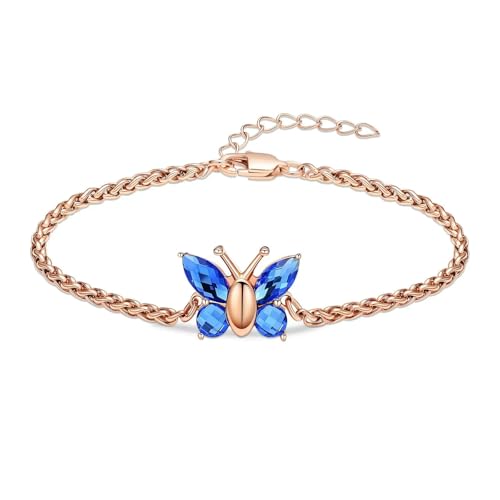 BIAIHQIE Feuerbestattungsschmuck Schmetterling Urne Armband für Asche Edelstahl Asche Armband für Frauen Männer Kristall Andenken Gedenkschmuck-rose-blau BIAIHQIE Feuerbestattungsschmuck Schmetterling Urne Armband für Asche Edelstahl Asche Armband für Frauen Männer Kristall Andenken Gedenkschmuck-rose-blau von BIAIHQIE