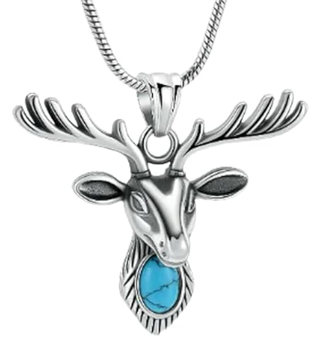 BIAIHQIE Feuerbestattungsschmuck Ziegenurnen-Halskette für Asche für Männer Gedenk-Andenken-Anhänger Medaillon für Asche-AAA von BIAIHQIE