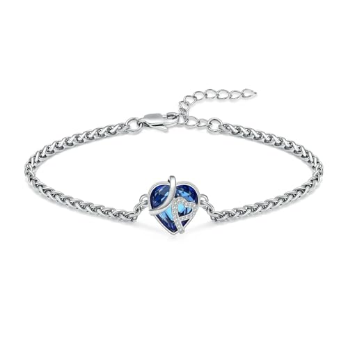 BIAIHQIE Herz Urne Armband für Asche Kristall Einäscherung Schmuck Edelstahl Verstellbares Andenken Memorial Asche Armband für Männer Frauen-Stahl-blau BIAIHQIE Herz Urne Armband für Asche Kristall Einäscherung Schmuck Edelstahl Verstellbares Andenken Memorial Asche Armband für Männer Frauen-Stahl-blau von BIAIHQIE