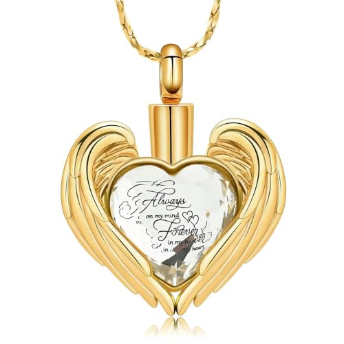 BIAIHQIE Herz-Urne Asche Halskette für Frauen Männer Einäscherung Kristalle Asche Anhänger geliebten Menschen Memorial Schmuck-E BIAIHQIE Herz-Urne Asche Halskette für Frauen Männer Einäscherung Kristalle Asche Anhänger geliebten Menschen Memorial Schmuck-E von BIAIHQIE