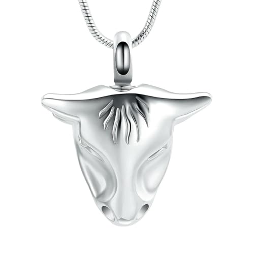 BIAIHQIE Memorial Halskette Für Männer Andenken Anhänger Einäscherung Schmuck Halten Asche Von Humen Pet-Silber von BIAIHQIE