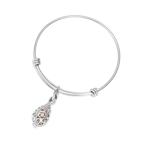 BIAIHQIE Urnenarmband in Tropfenform für Asche, Edelstahl, Einäscherungsschmuck, Andenken, Gedenkarmreif für geliebte Menschen, Geschenk für Frauen, Roségold BIAIHQIE Urnenarmband in Tropfenform für Asche, Edelstahl, Einäscherungsschmuck, Andenken, Gedenkarmreif für geliebte Menschen, Geschenk für Frauen, Roségold von BIAIHQIE