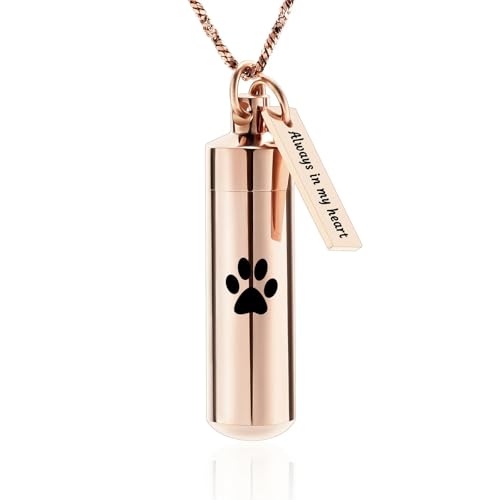 BIAIHQIE Urnenkette mit Pfotenabdruck für die Asche, Zylinderform, mit Glasgefäß, Andenken-Urnen-Gedenkschmuck für Damen/Herren, Roségold von BIAIHQIE