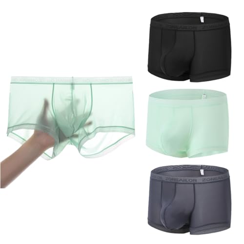 BIATWOWR Herren-Slips Transparent Sexy Micro Mesh Unterwäsche mit Beutelverstärkung und kurzen Beinen mehr Attraktivität von BIATWOWR