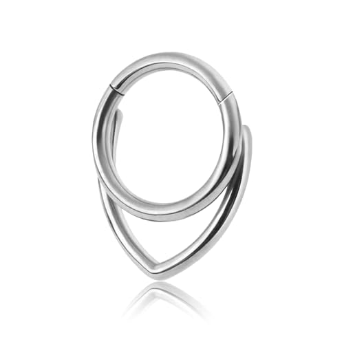 BIBITI Septum Piercing Silber,Daith Piercing Gold Schmuck Nasenring Nose Ring Nasenpiercing Septum Clicker Nasenringe Piercings Ringe Stechen Rings Damen Segmentring Stainless Steel,für Frau (Silber) von BIBITI