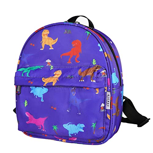 BIGHAS Leichter Kleinkind-Kinder-Rucksack mit Brustgurt für Jungen und Mädchen, Vorschule, Kindergarten, 3-6 Jahre alt, 30 Farben, Trex/Blau, One_Size, Kleinkind Rucksack von BIGHAS