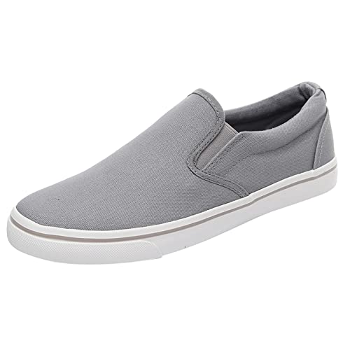 BIISDOST Schuhe Herren Sportlich Atmungsaktive Schuhe Mode Freizeitschuhe Walkingschuhe Flach Leicht bequem Sneaker Mode Sommer und Sport Segeltuchschuhe Atmungsaktive Mesh (Zjsjm-D-Grey, 44) von BIISDOST