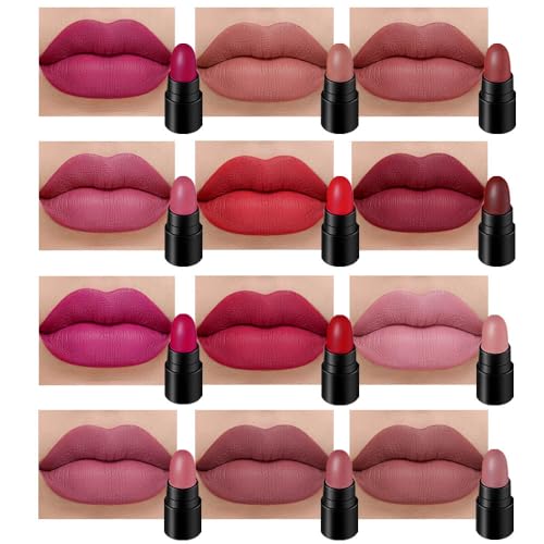 12 Stück Mini Make-up Kapsel Lippenstifte Set für Frauen Nude Braun Dunkelrot Matt Schön Lippenstifte Set für Handtasche Matte Lip Lippenstift Long Lasting Matte Lip Pencil 24 (B 12 von BINGBRUSH