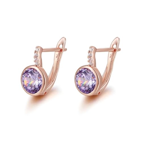 Ohrringe für Damen Damenohrringe Damen-Ohrstecker Frauen S925 Modeaccessoires Runde Violette Zirkonohrringe Für Damen Violett von BISONBLUE