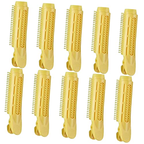 BIUDECO Haar-volumen-clips Ansatz-clip-set 10-teilig Flauschige Haarspange Für Frauen Lockige Haarspange Haaransatz-clip Haar-volumen-clips von BIUDECO