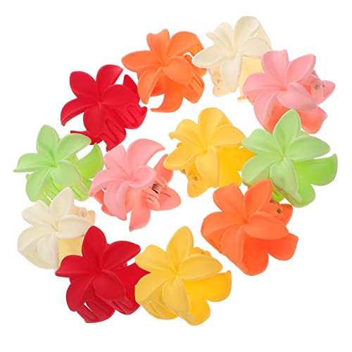 BIUDECO 12 Stück Teiliges Bunte Blumen Haarclips für Dickes Haar Robuste Klauenhaarklammern Haarschmuck für Frauen Geeignet für Alltag Party Geburtstag Vielseitige Frisuren von BIUDECO