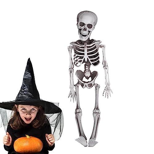 Ganzkörper-Halloween-Skelett | Realistischer gefälschter Skelettknochen mit beweglichen Gelenken,Halloween-Requisiten für Sargdekoration, Geisterfest-Requisiten, schreckliche gruselige Biudui von BIUDUI