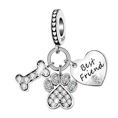 BIZK Bester Freund-Knochen & Klaue Charm Anhänger für Armband 925 Sterling Silber Charm Bead Pendant für Europäische Armbänder und Halsketten (Bester Freund-Knochen & Klaue) von BIZK