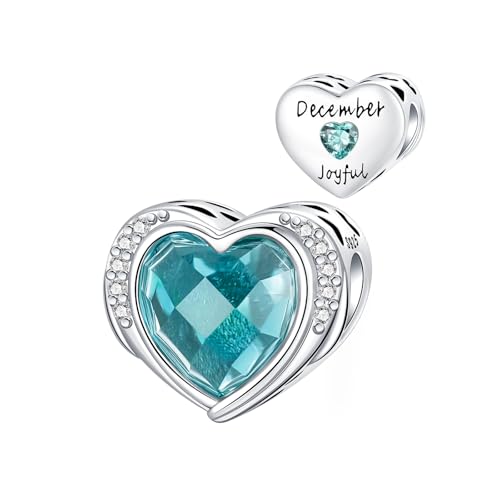 BIZK Geburtsstein Charms mit 5A Cubic Zirkonia for Pandora Charm 925 Sterling Silber Geburtstag Bead Charm (Dezember) von BIZK