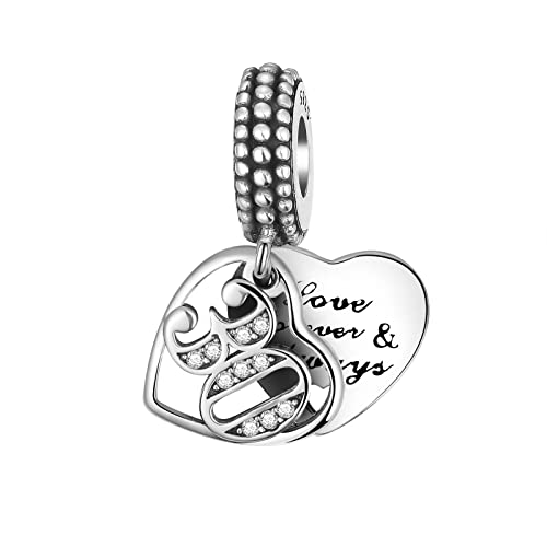 BIZK Damen Herz Liebe Charm Anhänger für Armband 925 Sterling Silber Charm Bead Pendant für Europäische Armbänder und Halsketten (30) von BIZK