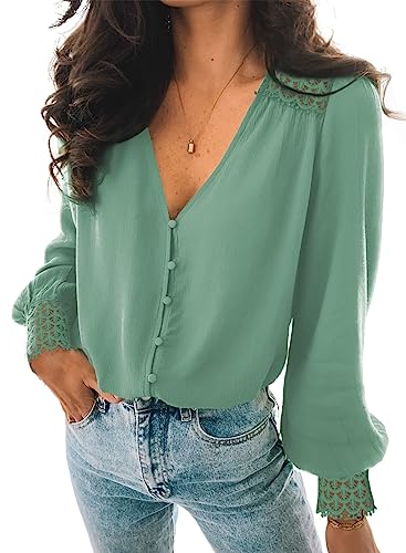 BLENCOT Damen Bluse Business Laterne Ärmel Casual Elegant Hemdbluse Button Down Oberteile Tunika mit Knöpfen von BLENCOT