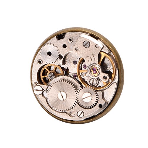 BLESSUME Vintage Retro-Legierung Brosche Steampunk viktorianischen Brosche (G) von BLESSUME