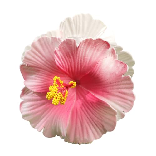 Haarklammer, Kopfbedeckung, Haarklammer, elegante Strandhaarhalterung, Haarspangen, starker Halt, Haarnadel für Mädchen von BLNGET