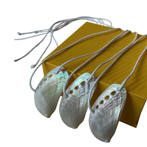 Halskette mit Muschel-Anhänger für Damen, einzigartig, natürlicher Strandschmuck, Geschenk, As show, Titanstahl von BLNGET