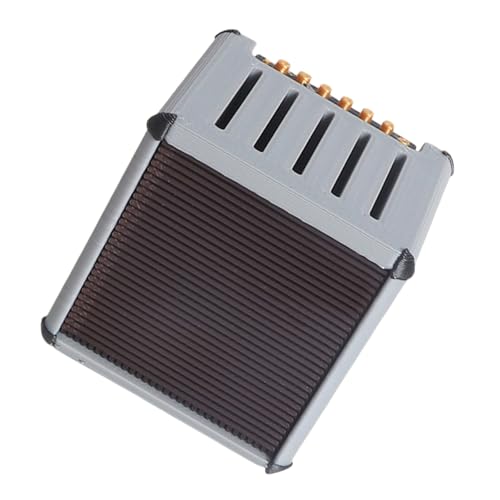 Reisefreundlicher bedruckter Gitarrenplektrum-Organizer, Aufbewahrungsbox, realistischer Lautsprecher-Look für Schüler und Lehrer, Gitarrenspieler, Geschenk, grau, Mass Beauty von BLNGET