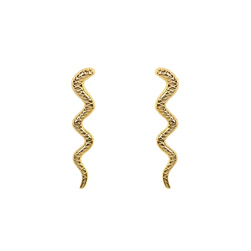 Plattierte Schlangenohrringe für Frauen kleine durchdringende Ohrringohren Schmuck Pendientes von BNCXMO