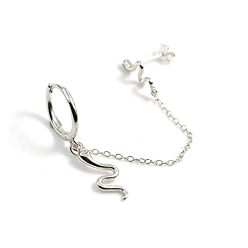 Plattierte Schlangenohrringe für Frauen kleine durchdringende Ohrringohren Schmuck Pendientes von BNCXMO