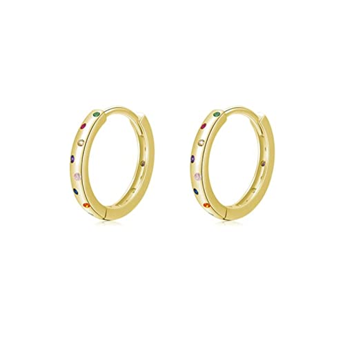 Trendige Ohrringe - 925 Sterling Silber Simple Circle Regenbogen Farbe Zirkonia Hoop Ohrringe für Frauen eleganter trendiger feiner Schmuck von BNCXMO