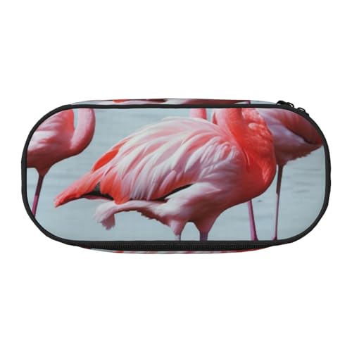 BNVSADC Schönes, lustiges Federmäppchen mit Flamingo-Muster, Doppelreißverschluss, Stifteetui, Tasche, Halter, Büro, Schule, Organizer, Schreibwarentasche für Studenten, Teenager, Jungen, Mädchen, von BNVSADC
