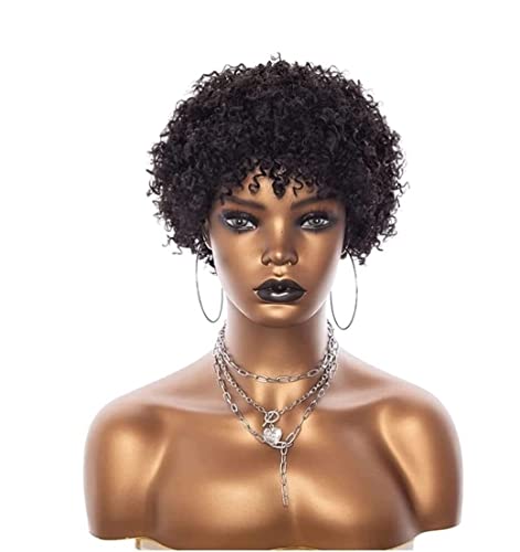 Haar PerüCke Frauen Kurze Lockige Perücken Kurze Lockige Gemischte Farbe Perücken Cosplay Perücken Für Afrikanische Frauen TäGlichen Gebrauch PerüCke (Color : B, Size : 6.5in) von BOGAZY