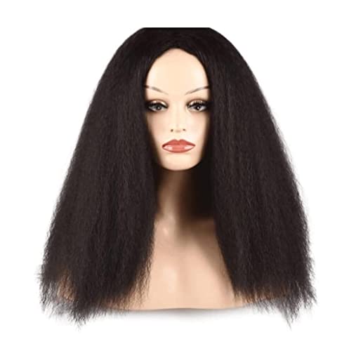 Haar PerüCke Lange Perücke Afro-Perücken Für Schwarze Frauen Naturhaarperücke Glattes Haar Perücke Synthetische Perücke TäGlichen Gebrauch PerüCke (Color : C, Size : 23in) von BOGAZY