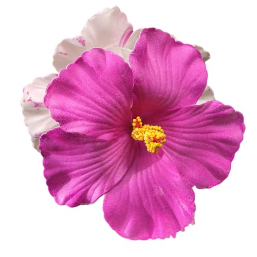 BOGEEL Haarklammer, Kopfbedeckung, Haarklammer, elegante Strandhaarhalterung, Haarspangen, starker Halt, Haarnadel für Mädchen von BOGEEL