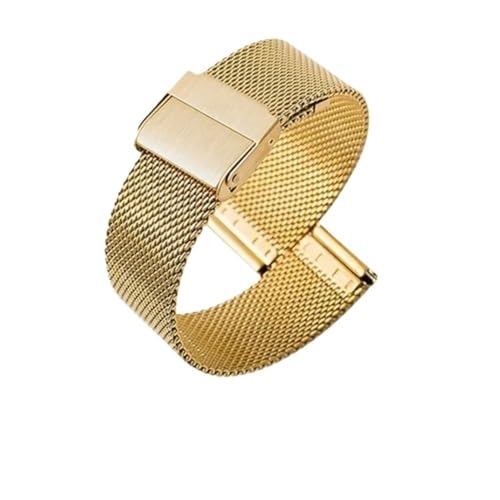 BOLEXA 18 20 22 24mm Quick Release Edelstahl Uhrenarmband for Frauen Männer Universal Armband Uhr Zubehör Mit Werkzeug (Color : Gold, Size : 18mm) von BOLEXA