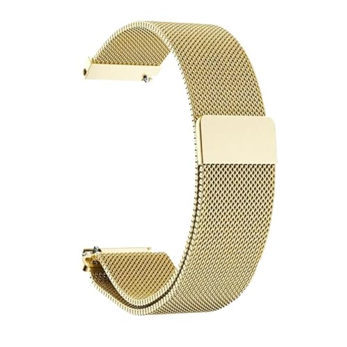 BOLEXA edelstahl uhrenarmband 12mm-22mm Edelstahl Quick Release Mesh Armband Männer Frauen Magnetische Smart Strap Mit Werkzeug (Color : Gold, Size : 12mm) von BOLEXA