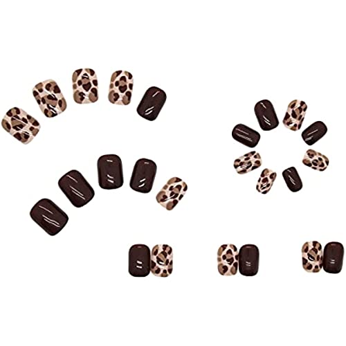 24 braune Leoparden-Kunstnägel, wiederverwendbar, tragbar, vollständige Abdeckung, Kunstnägel, kurz mit Klebstoff, 1 ml, für Frauen und Mädchen von BOLYUM