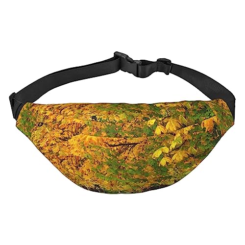 Herbstfarben (2) Bauchtaschen für Damen und Herren, leichte, verstellbare Hüfttasche für Reisen, Wandern, Radfahren, Schwarz , Einheitsgröße von BONDIJ