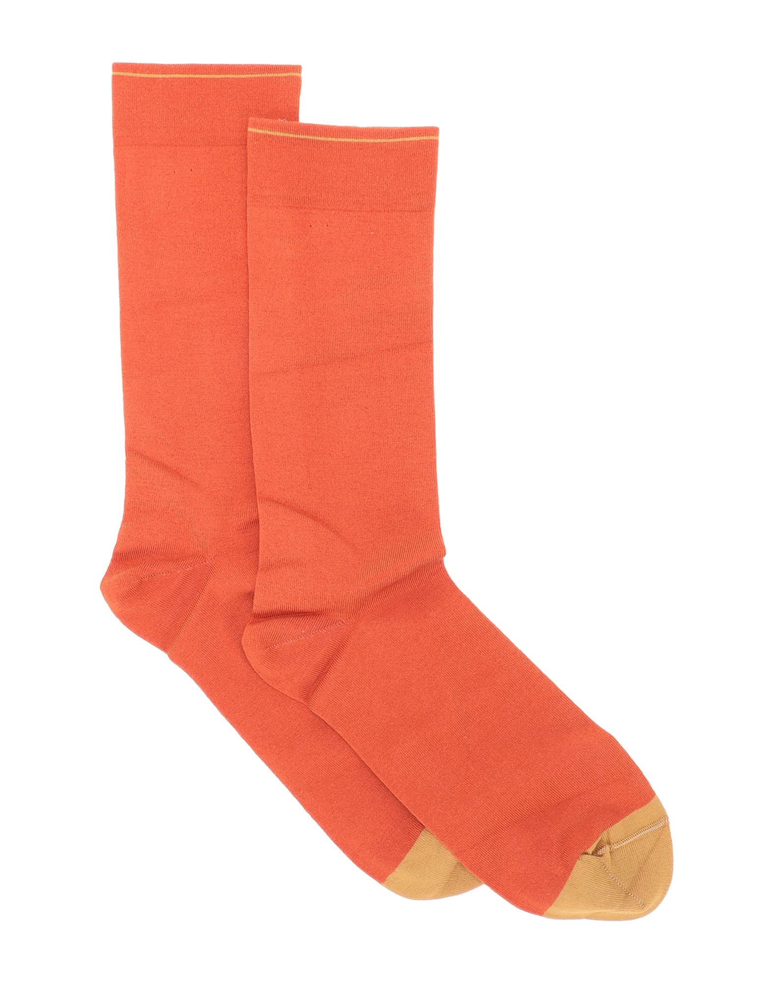 BONNE MAISON Socken & Strumpfhosen Damen Orange von BONNE MAISON