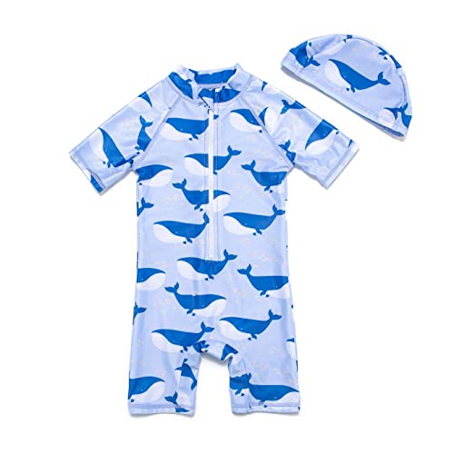 BONVERANO Baby Junge EIN stück Kurzärmel-Kleidung UV-Schutz 50+ Badeanzug MIT Einem Reißverschluss（Blau-Blue Whale，24-36Monate） von BONVERANO