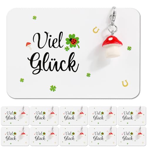 10 Glücksbringer Silvester Schlüsselanhänger Viel Glück Geschenke Kleeblatt Pilz Anhänger Klein Prüfung Abschiedsgeschenk Kollegen Schüler Glücksklee Marienkäfer Anhänger für Neujahr Weihnachten von BOOMTOP