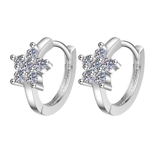 BOTCAM Fashionable Zircon Small Earrings For Women Temperament Personality Trendy Simple And Versatile Earrings Männer Ohrringe Silber von BOTCAM