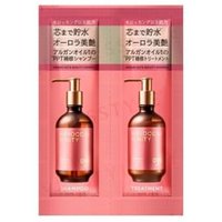 BOTTLE WORKS - Moroccan Beauty Hydro Repair Shampoo & Treatment Trial Set 12ml x 2 von BOTTLE WORKS