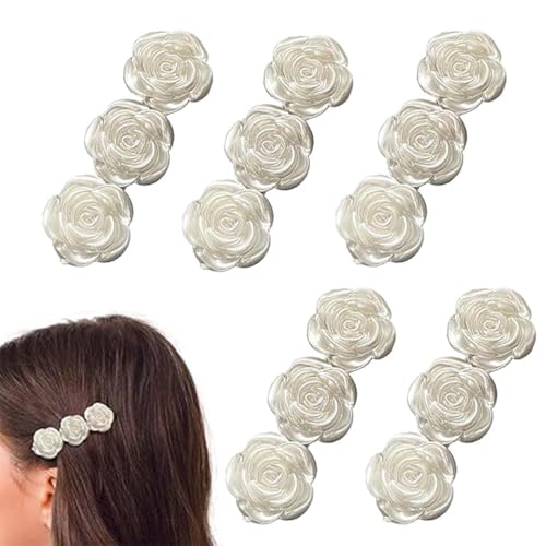 BQRKOTM 5 Stück Doppelschicht Haarspange,Geflochtene Haarspangen,Haarspangen Damen,Elegante Haarstyling-Clips Haarspange,für Damen und Mädchen von BQRKOTM