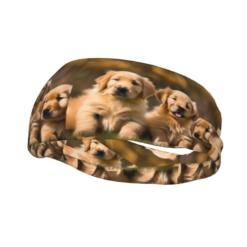 Golden Retriever Schweißband für Hunde, Welpen, Haustiere, bedruckt, lässiges Schweißband, leicht, atmungsaktiv, Haarband zum Wandern, Laufen Golden Retriever Schweißband für Hunde, Welpen, Haustiere, bedruckt, lässiges Schweißband, leicht, atmungsaktiv, Haarband zum Wandern, Laufen von BREAUX