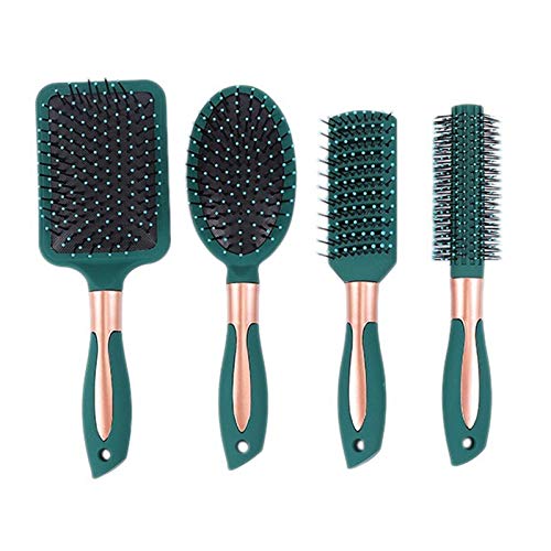BRIUERG 4-Teiliges Haar BüRsten Set für Frauen Kamm mit Nassem oder Trockenem Haar Entwirrung BüRste und Haar Kamm Set von BRIUERG