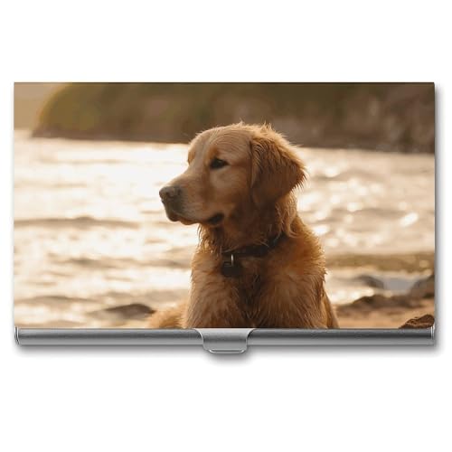 BSCKKDMN Visitenkartenhalter, schlank, tragbar, Metall, Visitenkartenetui, Retriever-Tasche, Namenskartenhalter, Geldbörse für Männer und Frauen, Büro, Reisen von BSCKKDMN