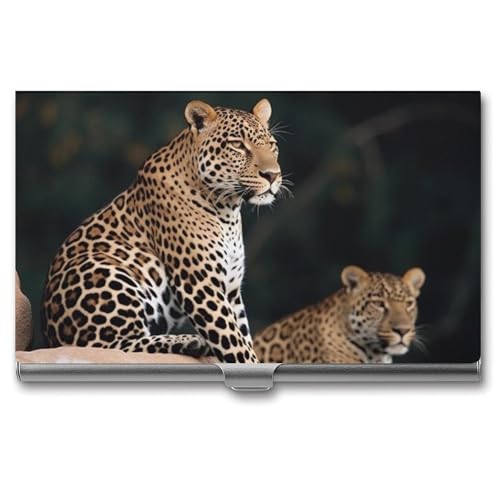 BSCKKDMN Visitenkartenhalter, schlank, tragbar, Metall, Visitenkartenetui, afrikanischer Leopard auf Felsen, Tasche, Namenskartenhalter, Brieftasche für Männer und Frauen, Büro, Reisen BSCKKDMN Visitenkartenhalter, schlank, tragbar, Metall, Visitenkartenetui, afrikanischer Leopard auf Felsen, Tasche, Namenskartenhalter, Brieftasche für Männer und Frauen, Büro, Reisen von BSCKKDMN
