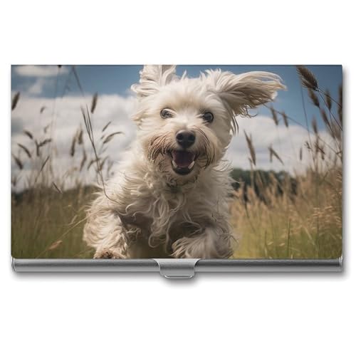Visitenkartenetui Slim Portable Metall Visitenkartenetui Weiß Hund im Feld Tasche Namenskartenhalter Brieftasche für Männer Frauen Büro Reisen von BSCKKDMN