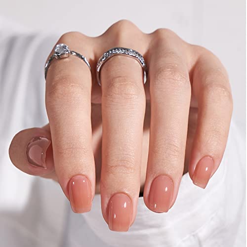 BTArtbox Square Press On Nails Kurz Sheer Braune Einfarbig Eckig Fake Nails 30 Stück Short künstliche Nägel zum aufkleben mit Nail Glue, Quadratische False Nails für für Frauen & Mädchen von BTArtbox