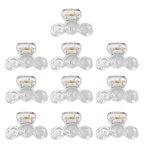 BTGHPI Set mit 10 transparenten Haarspangen aus transparentem Acryl, Haarschmuck, klare Haarspange, Haarnadeln für Frauen und Mädchen von BTGHPI