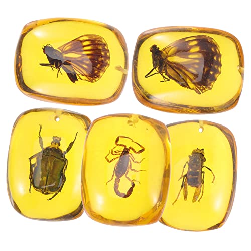BUGUUYO 5 Stück Teiliges Resin Insekten Anhänger Natürliche Insektenexemplare in Bernsteinoptik DIY Schmuck Anhänger für Armbänder Halsketten Schlüsselanhänger Einzigartige von BUGUUYO