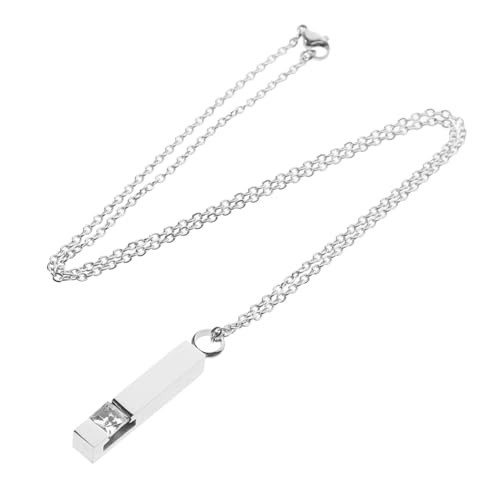 BUGUUYO Urnen Anhänger Halskette zum Befüllen mit Offene Ascheurne Anhänger Gedenkschmuck für Frauen Langlebige und Rostfreie Aschekette zur Erinnerung an Verstorbene von BUGUUYO